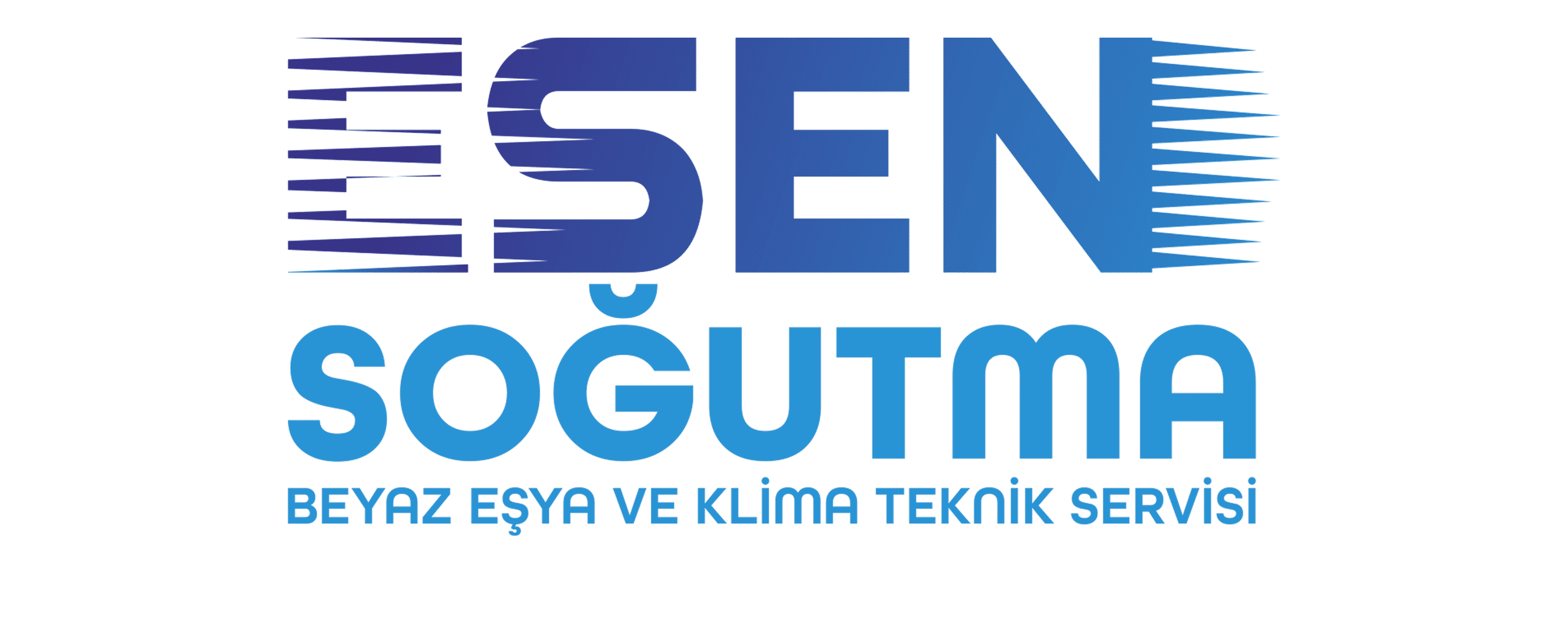 logo1